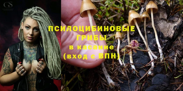 амф Алексин