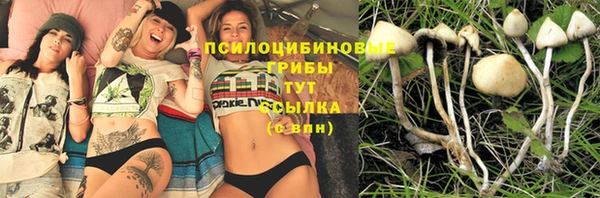 скорость Алзамай