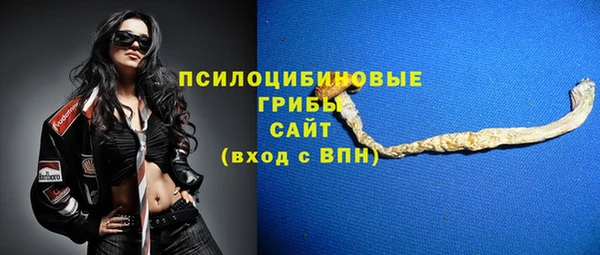 скорость Алзамай